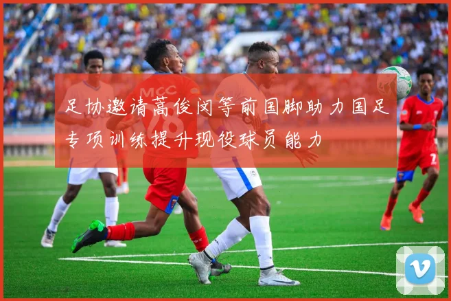 足协邀请蒿俊闵等前国脚助力国足专项训练提升现役球员能力