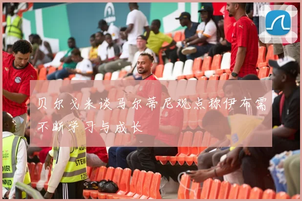 贝尔戈米谈马尔蒂尼观点称伊布需不断学习与成长